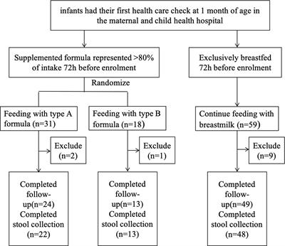 Effects of Infant Formula Supplemented With Prebiotics and OPO on Infancy Fecal Microbiota: A Pilot Randomized Clinical Trial